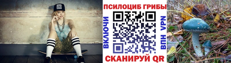 Псилоцибиновые грибы Psilocybine cubensis  Купить закладки  Александров 